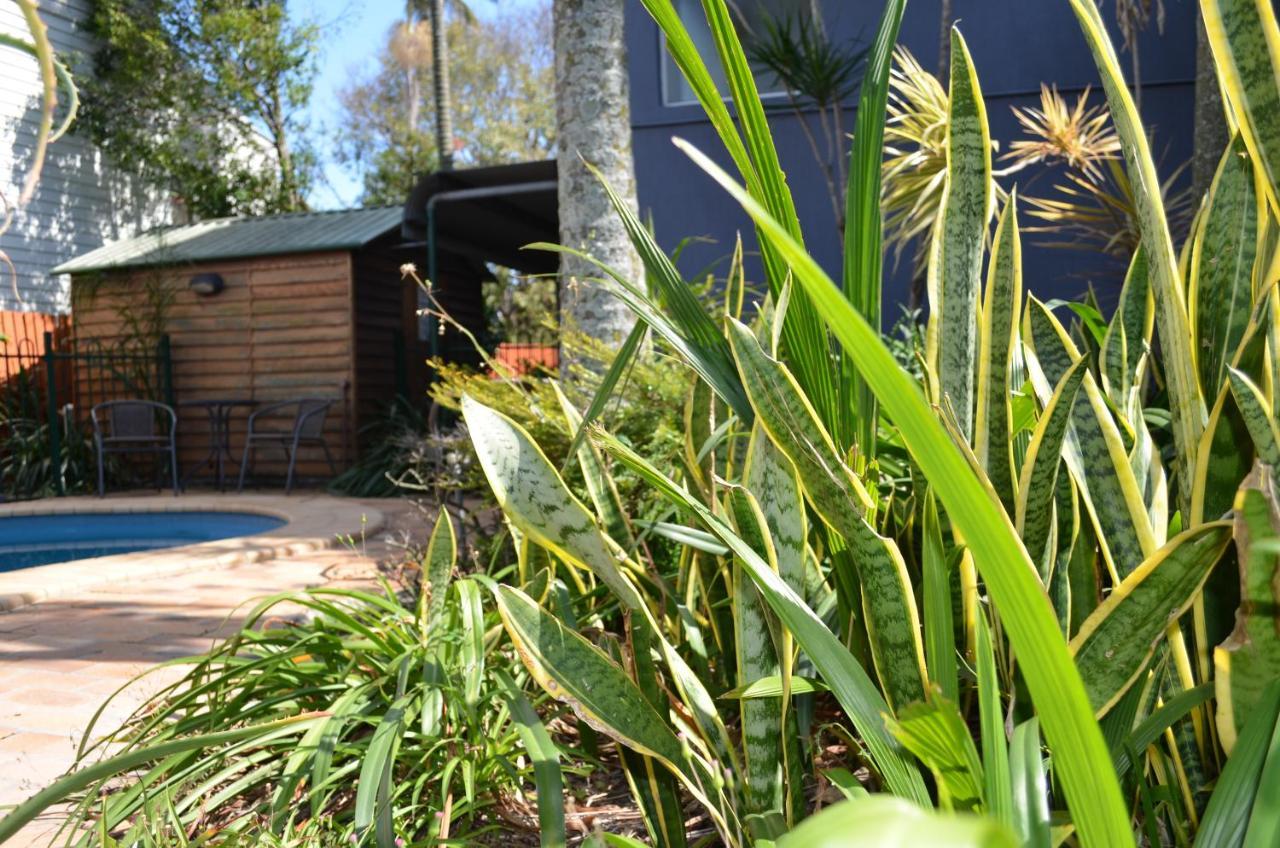 Airport Motel Brisbane Eksteriør bilde